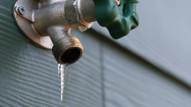 Best Plumbing Services Near Me  in Staic, CA